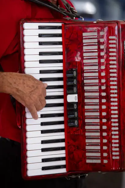 Photo of Closeup of accordionist and his instrument