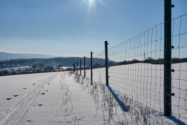 istock Cross country skiing track 1366825299