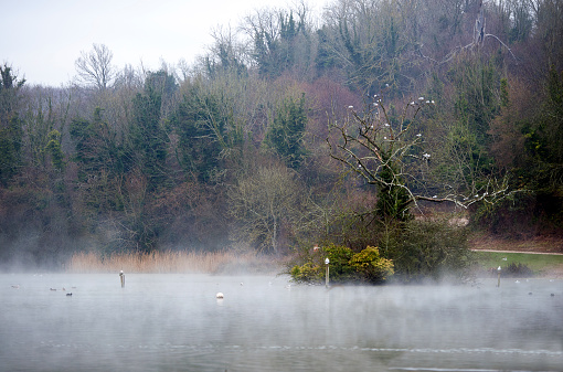 view of public park pond in early winter on a foggy morning