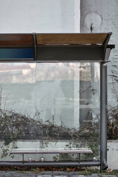 istock Empty modern urban bus stop on the street. 1366828581