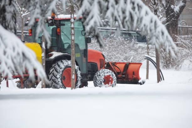 istock Tractor cleaning urban park paths on a cold snowy day. 1366828668