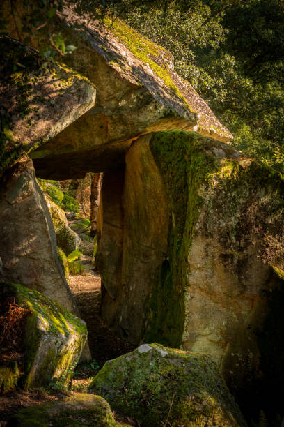 istock Path inside granite rocks full with moss on a natural landscape 1366832772
