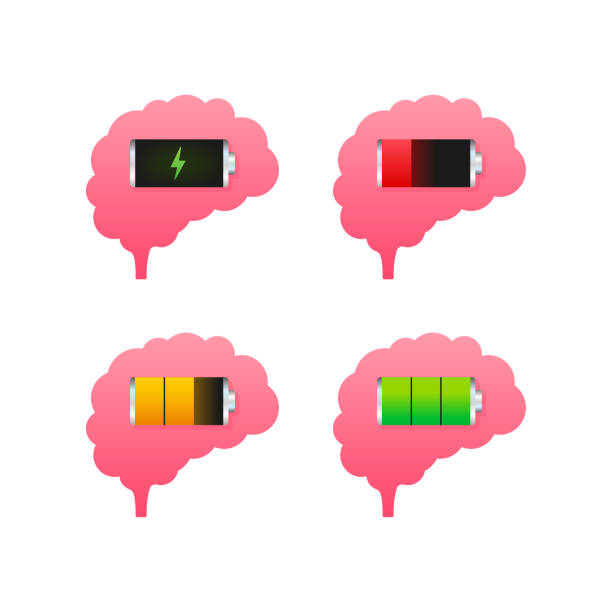 Brain, think loading concept with idea processed on a lightbulb bar. Vector stock illustration. Brain, think loading concept with idea processed on a lightbulb bar. Vector stock illustration thinking fast and slow stock illustrations