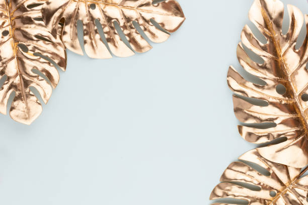 istock Monstera gold leaf on blue background. Palm leaf, Flat lay and top view. 1366834830