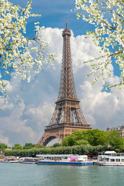istock Eiffel tower and Seine river in spring, Paris, France 1366835461