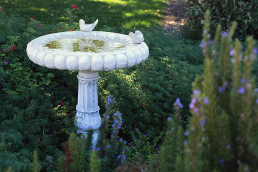 Beautiful cascading fountain in garden pond against blurred background of evergreens. Selective focus. Sun is reflected in greenish water. Atmosphere of relaxation, tranquility and happiness.