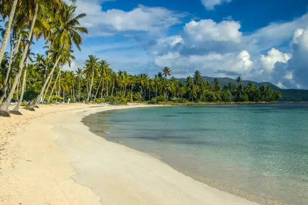 Dominican Republic - Las Galeras - The beautiful and calm caribbean water of playa del aserradero backed with green palm trees at Samana peninsula