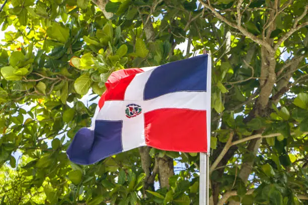 Dominican Republic - Bayahibe - The windy waving red, blue and white national republic flag with background of tropical tree green leaves