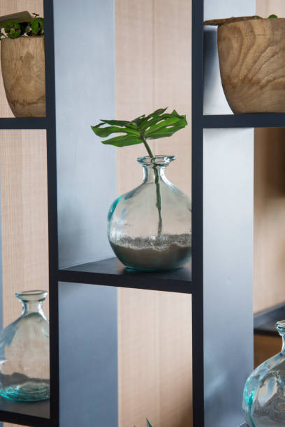 istock Plants in glass vases indoor decoration 1366837452