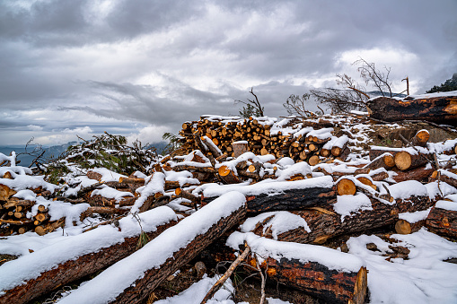 Stack of logs for timber industry and firewoods covered with snow in the forest in Koycegiz, Mugla, Turkey