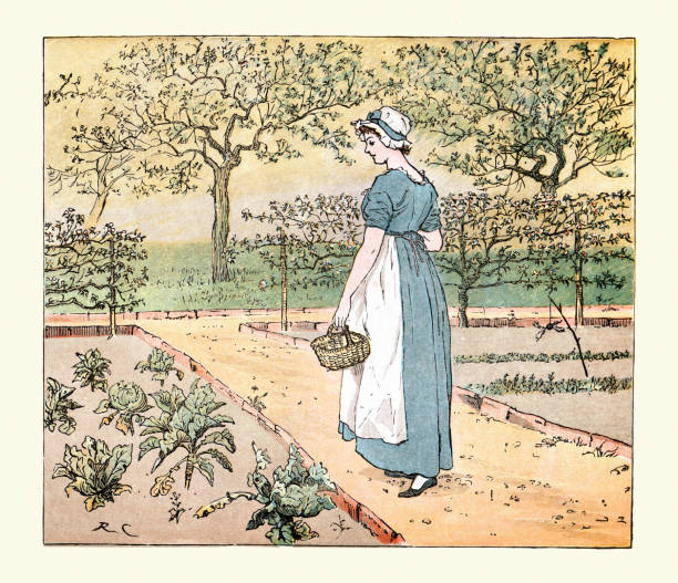 Vintage illustration of Scene from The Great Panjandrum Himself, Illustrated by Randolph Caldecott. Young woman walking through a vegetable garden