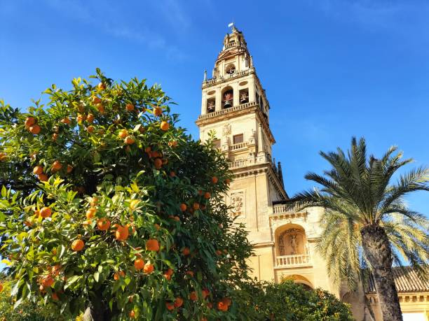 istock Mosque of Cordoba 1366840215