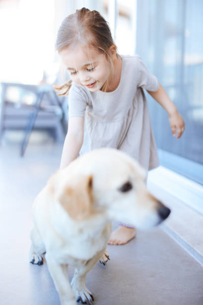istock Little girl playing with dog 1366841907