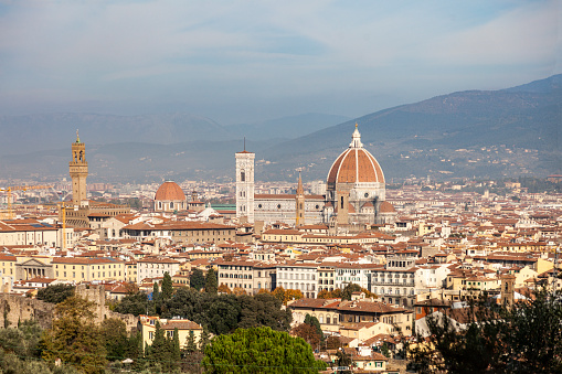 View over the beautiful city of Florence with flowers in foreground, Italy