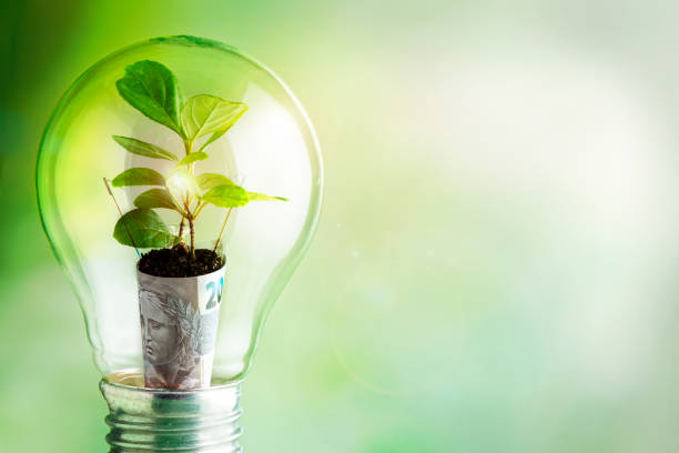 istock Sustainable Investment Growth. 1366845830