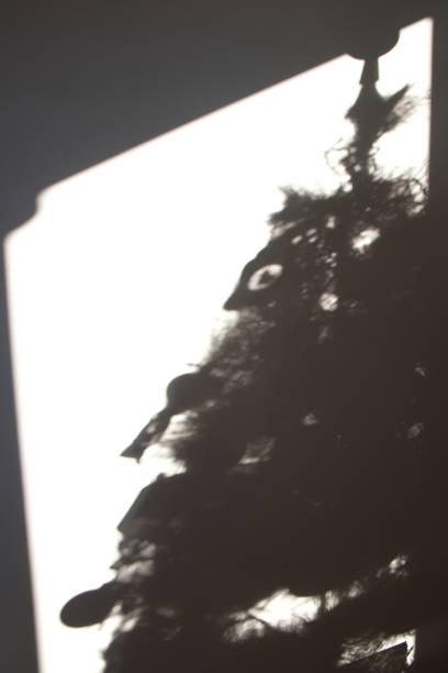 Shadow of the Christmas tree with decorations. Black and white variant.