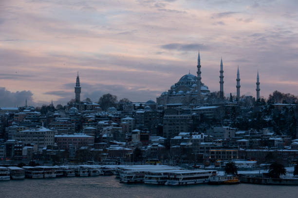 istock Evening landscape in Istanbul 1366846554