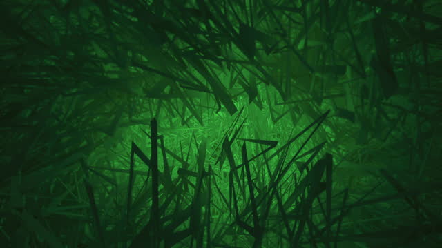 Dark Lush Green Grass Motion Background
