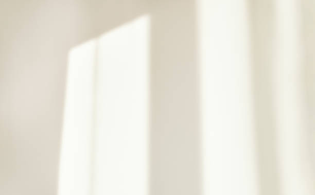 istock Light from the window morning shines on the white wall, the shadow curtain 1366851314