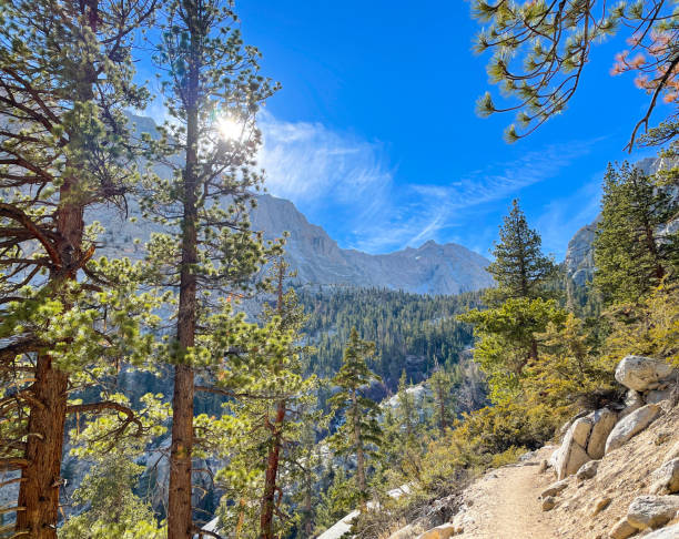 istock Mt. Whitney hiking path and mountain view 1366852748