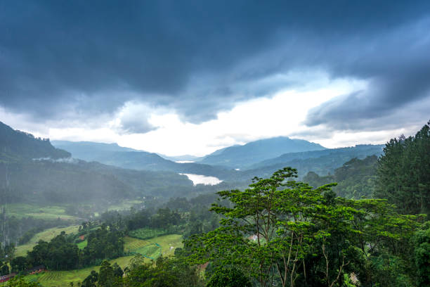 A foggy morning view up the hills of Horton Plains, jungle, mountains & sky, Sri Lanka.
