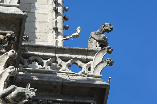 The gargoyles, apart from being used as an architectural element to evacuate water, have the appearance of fantastic creatures or animals, with a strong symbolic power, perhaps warding off evil spirits and emphasizing the divine power of the temple.