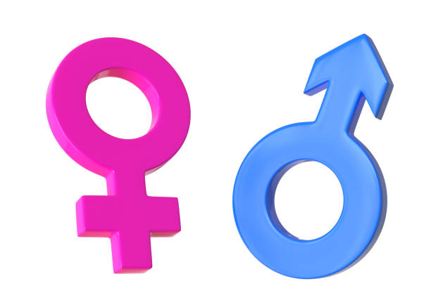 Male and Female symbols isolated on white background Male and Female symbols isolated on white background. Sexual symbols. Sign of venus and mars. Gender icon. Couple man and woman. 3d Render 3d Illustration female gender symbol stock pictures, royalty-free photos & images