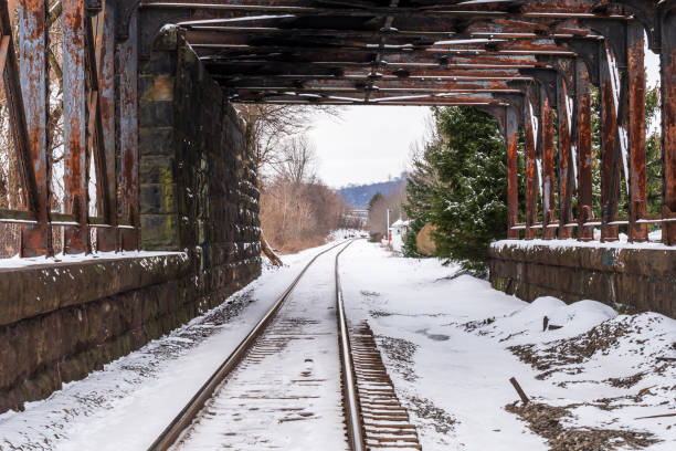 istock Snow covered train tracks in a tunnel 1366862596
