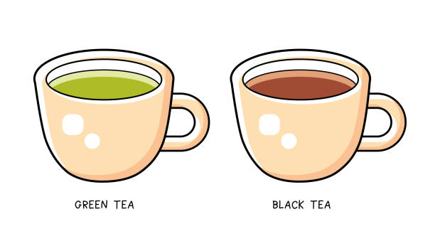 ilustrações, clipart, desenhos animados e ícones de xícara de chá verde e preta - tea cup tea green tea chinese tea