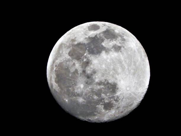Moon Wolf Moon moon stock pictures, royalty-free photos & images