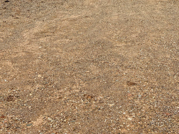 istock dry arid dirt earth desert ground rock stone floor overhead nature backdrop 1366866897