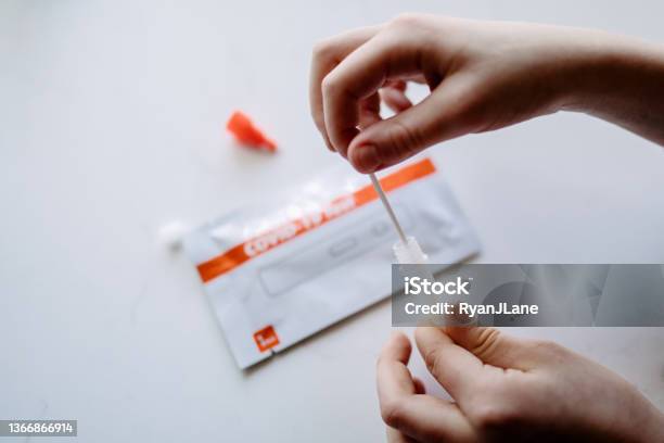 Person Using Home Covid Test Kit Stock Photo - Download Image Now - Testing Kit, COVID-19, Domestic Life