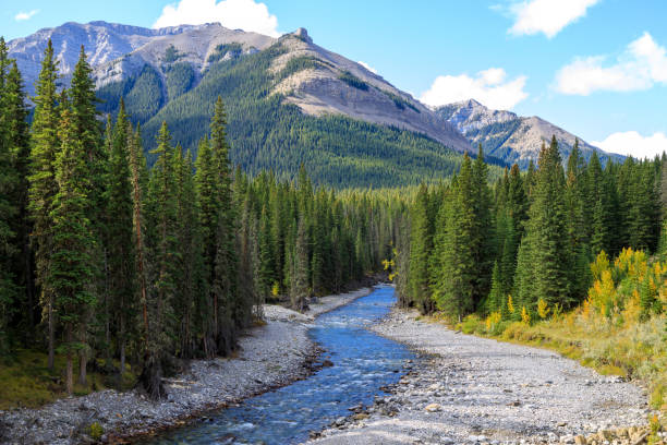 istock Sheep River Provincial Park Kananaskis Country Alberta Canada 1366869404