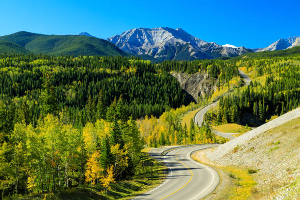 istock Sheep River Provincial Park Kananaskis Country Alberta Canada 1366870122