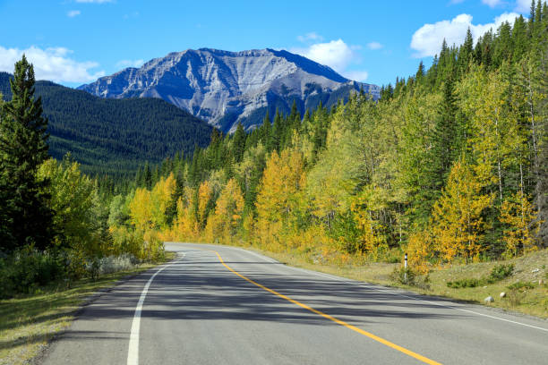 istock Sheep River Provincial Park Kananaskis Country Alberta Canada 1366870168