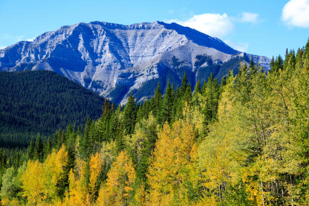 istock Sheep River Provincial Park Kananaskis Country Alberta Canada 1366870212