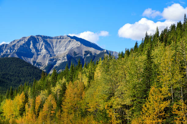 istock Sheep River Provincial Park Kananaskis Country Alberta Canada 1366870233
