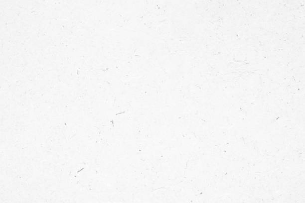 istock White recycle paper cardboard surface texture background 1366870460