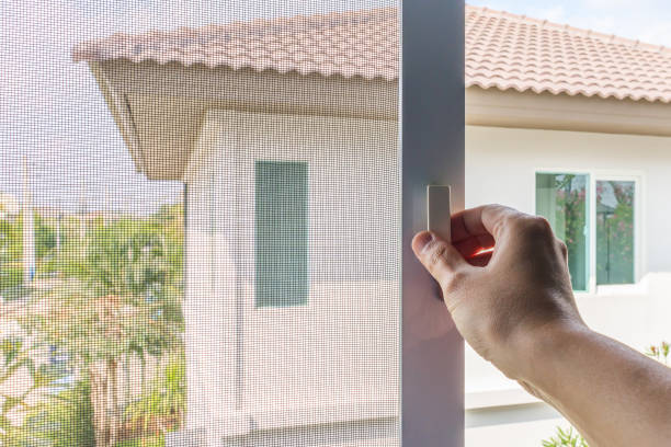 istock Hand hold mosquito net wire screen handle on house window 1366871388