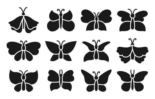 Butterfly exotic ornate stamp set for scrapbook stencil sign shape moths collection symbol vector Butterfly exotic silhouette stamp set for scrapbook. Stencil butterflies sign shape moths doodle collection. Symbol stylized tropical insect wings. Wildlife childrens design issue brand vector butterfly tattoo stencil stock illustrations