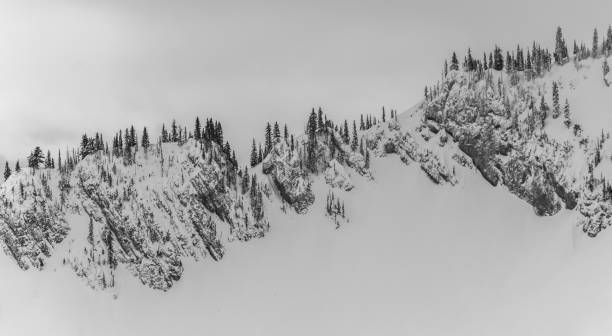 Shot was taken at the first snow of this year.