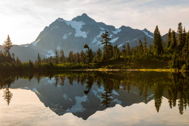 reflexão do monte shuksan em picture lake at sunrise - picture lake - fotografias e filmes do acervo