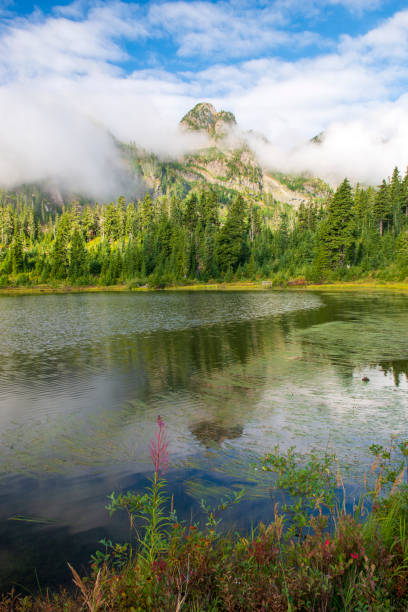 image du lac avec reflet de montagne - mont shuksan photos et images de collection