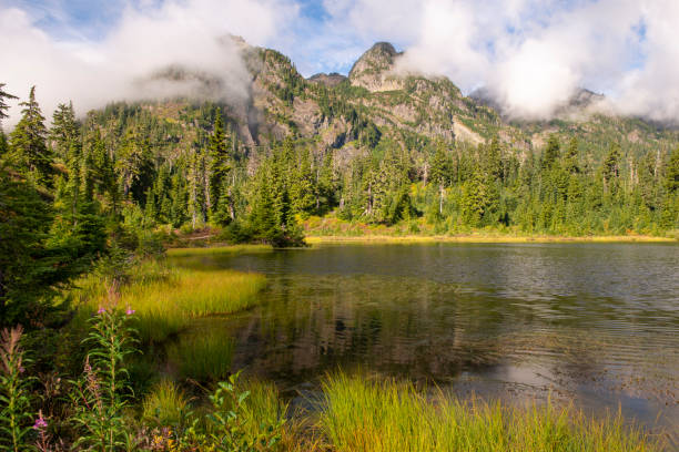 istock Mountain view from Picture Lake 1366886636