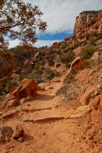 istock The Trail Less Traveled 1366892376