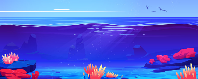 Coral reef ocean or sea underwater background cross view. Bottom with sand and seaweeds grow at rocks under sun beams falling from sky with flying birds. Marine undersea Cartoon vector illustration