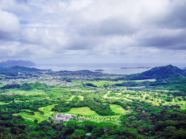 istock Very green island city 1366897217
