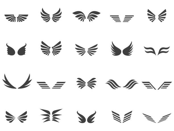 набор значков wings - крыло животного stock illustrations