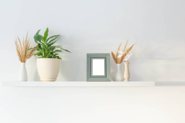istock wooden frame with plants on background white wall 1366903303