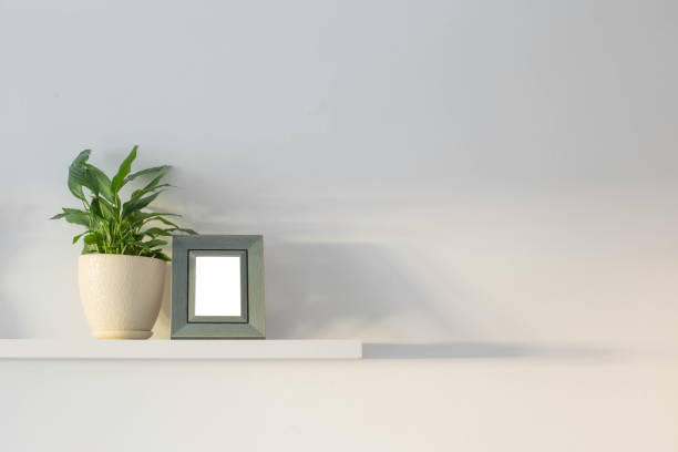 istock wooden frame with plants on background white wall 1366903304